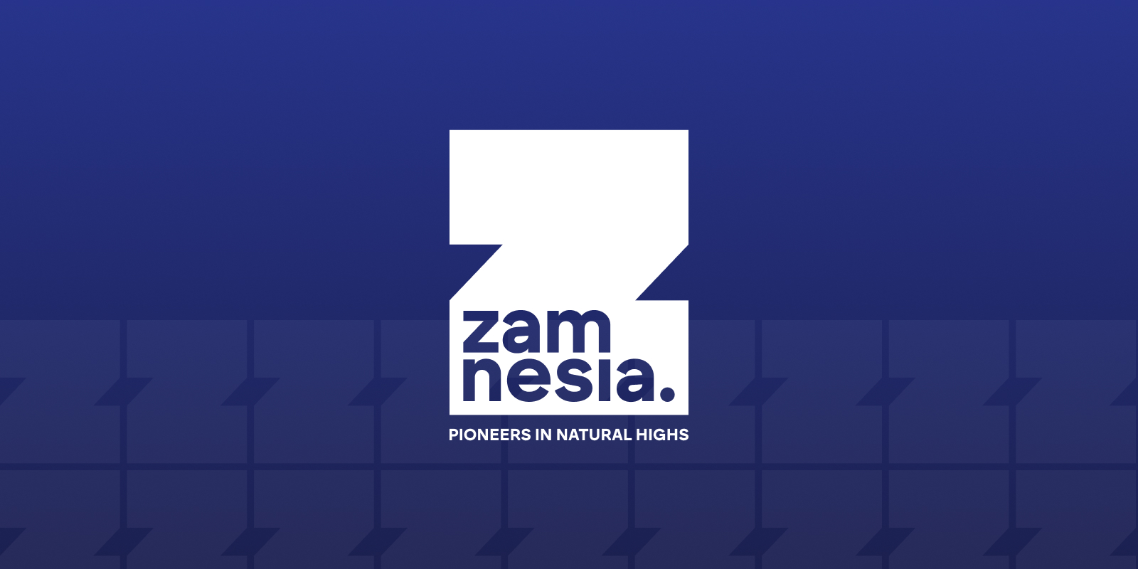 Zamnesia Return Policy