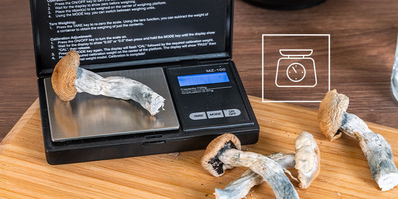 A Quick Word On Dosing Psilocybin Mushrooms