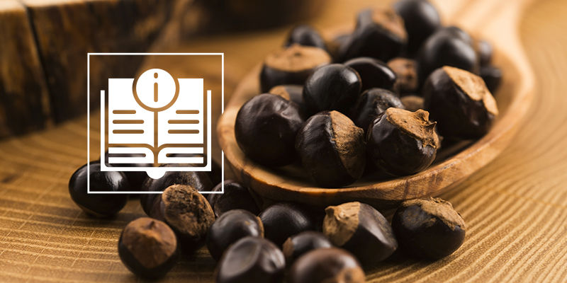 Everything You Need To Know About Guarana