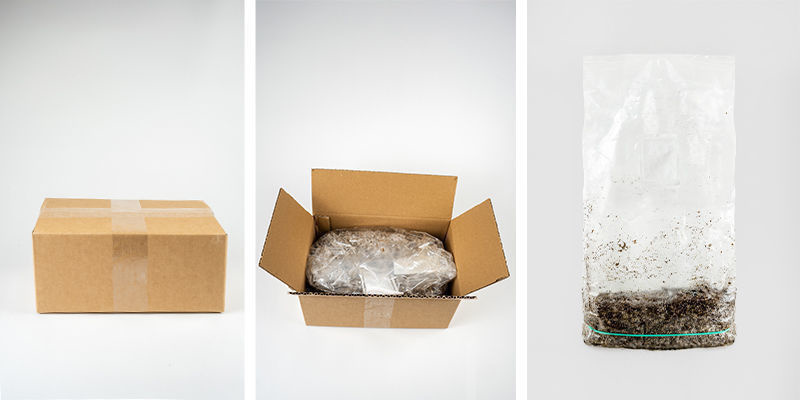 What’s included with the Zamnesia Ready-2-Grow Bag?