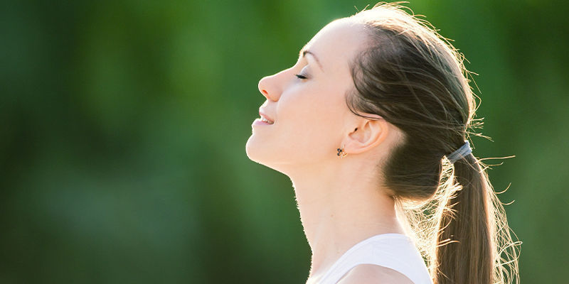 What is Ginkgo biloba used for?