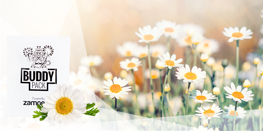 Attract Beneficial Insects