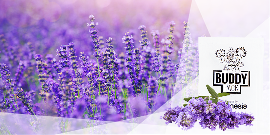 Deter Harmful Insects