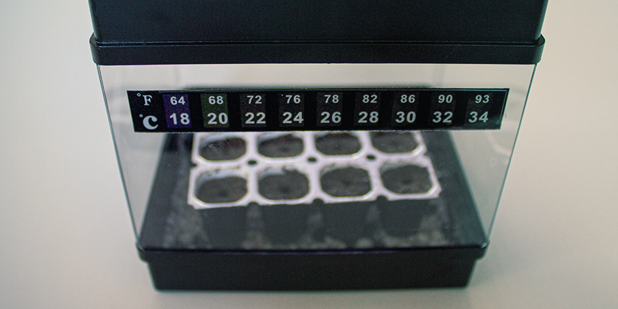 Propagator Pro 2 - CANNABIS