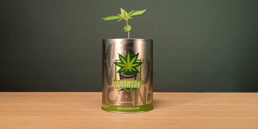 iGrowcan - CANNABIS