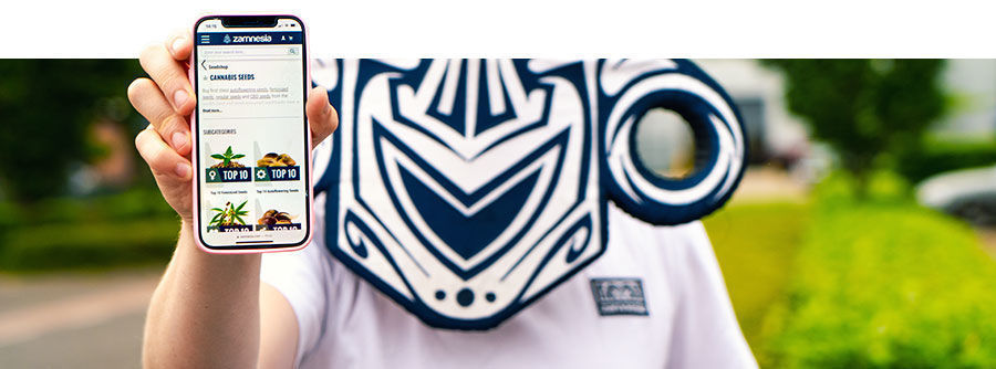 Buying cannabis seeds at Zamnesia Buying cannabis seeds at Zamnesia