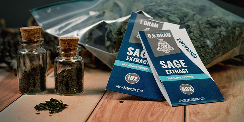 How And Where Can You Get Salvia Divinorum? How and where can you get Salvia divinorum?