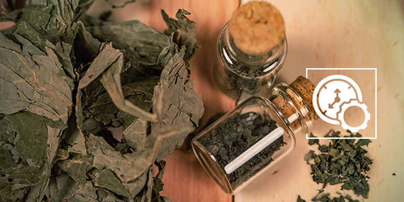 How Long Does Salvia Stay In Your System? How long does salvia stay in your system?