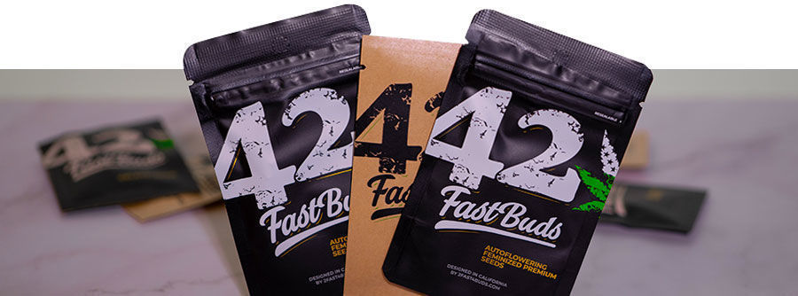 Information About FastBuds Cannabis Seeds Information About FastBuds Cannabis Seeds