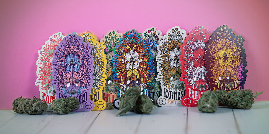 Award-Winning Cannabis Strains Exotic Seed