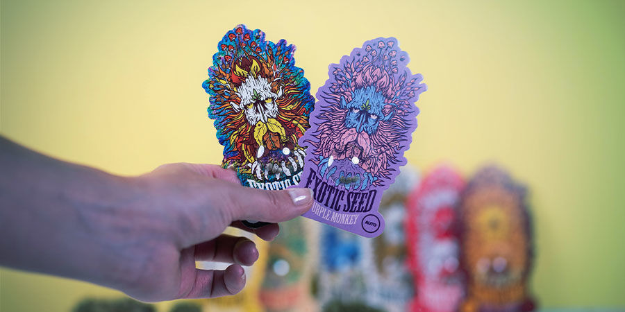 Exotic Seed Quality Seeds