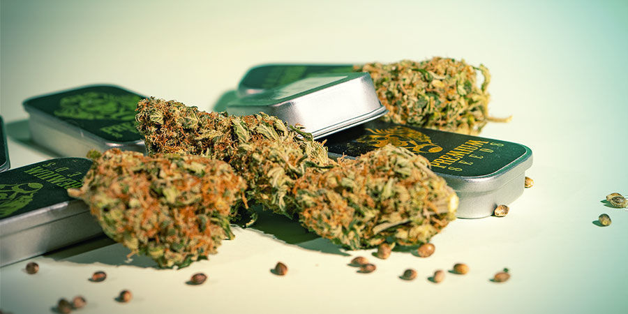 What Makes G13 Labs Different? What Makes G13 Labs Different?