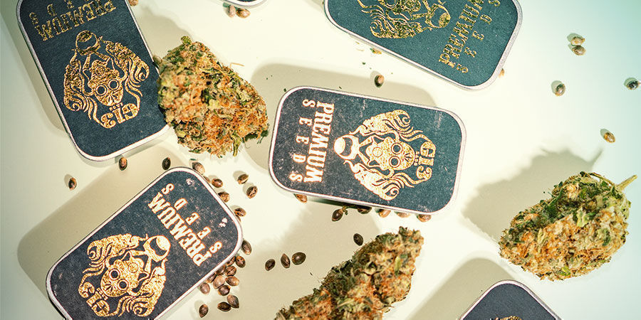 Why Shop G13 Labs? Why Shop G13 Labs?