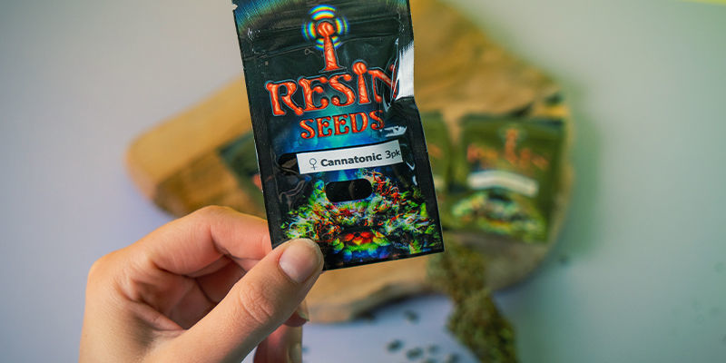 Resin Seeds: Founders Of The CBD Movement Resin Seeds: Founders CBD Movement