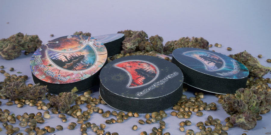 GeneSeeds Cannabis Seeds Package