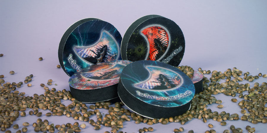 The Best Cannabis Strains GeneSeeds