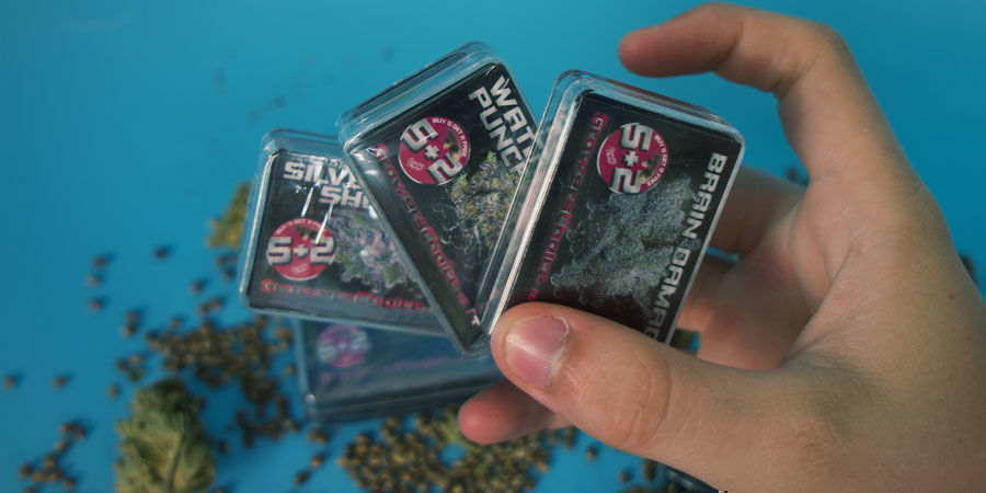 Growers Choice: Make These Seeds Your Choice