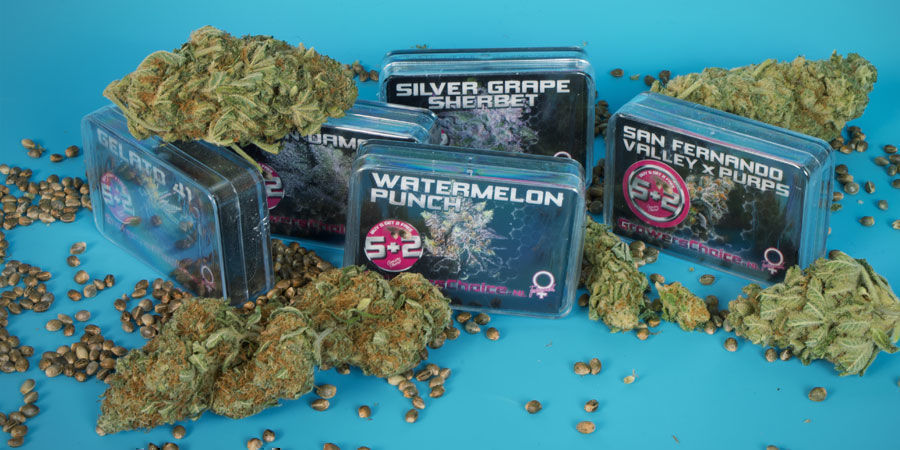 Who Are Growers Choice?