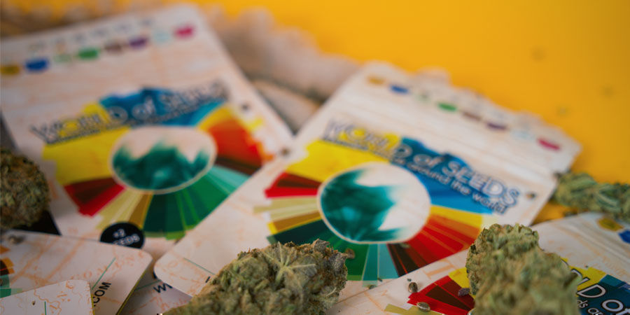 Where Can I Buy World Of Seeds Cannabis Seeds? Where Can I Buy World Of Seeds Cannabis Seeds?