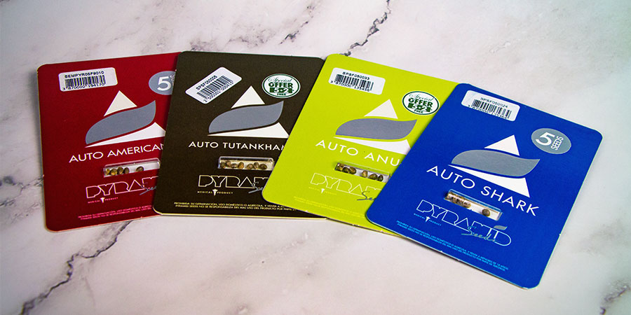 Packaging Pyramid Seeds Packaging Pyramid Seeds