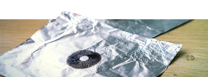 Buy magic mushroom spore prints