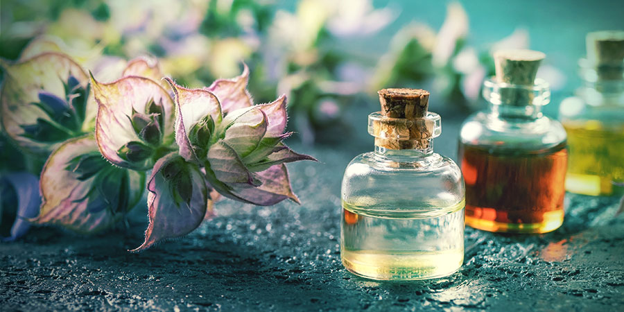 WHAT ARE DREAM HERBS?