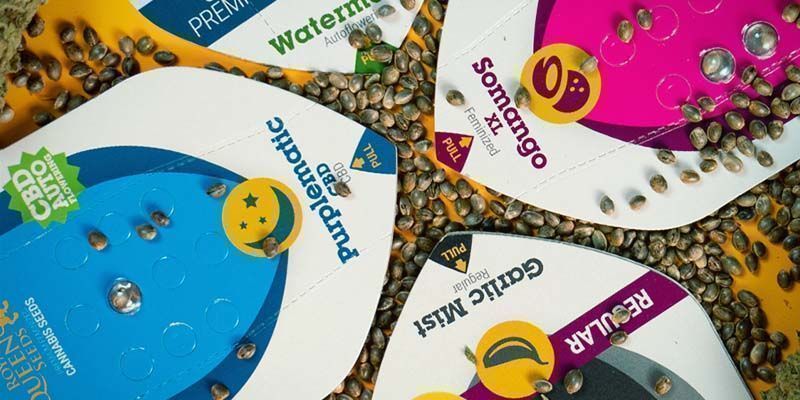 Packaging Royal Queen Seeds