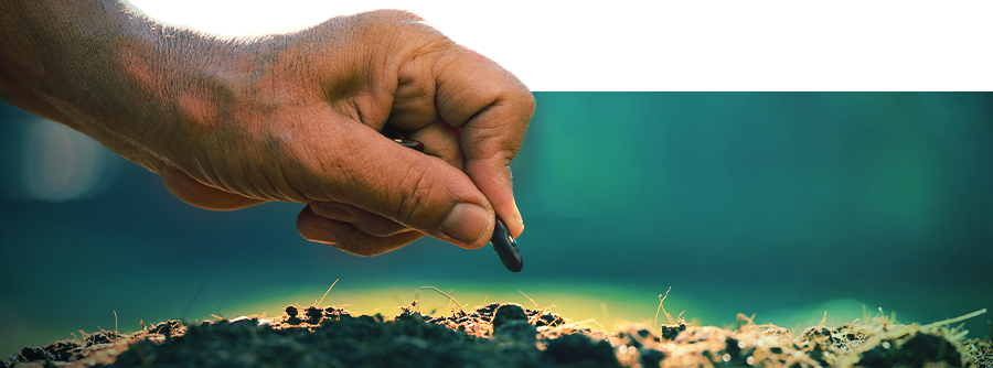 Smart Seeds - Grow Natural Psychedelics And Ancient Aphrodisiacs At Home Smart Seeds - Grow Natural Psychedelics And Ancient Aphrodisiacs At Home