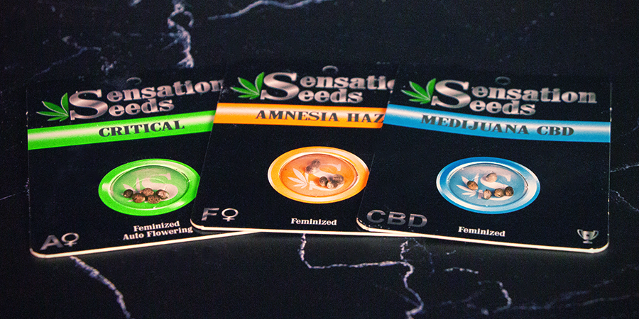 Sensation Seeds Packaging