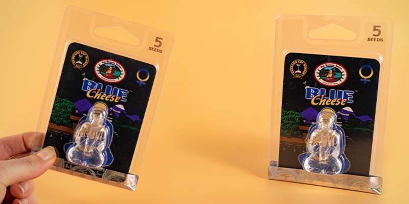 Big Buddha Seeds packaging