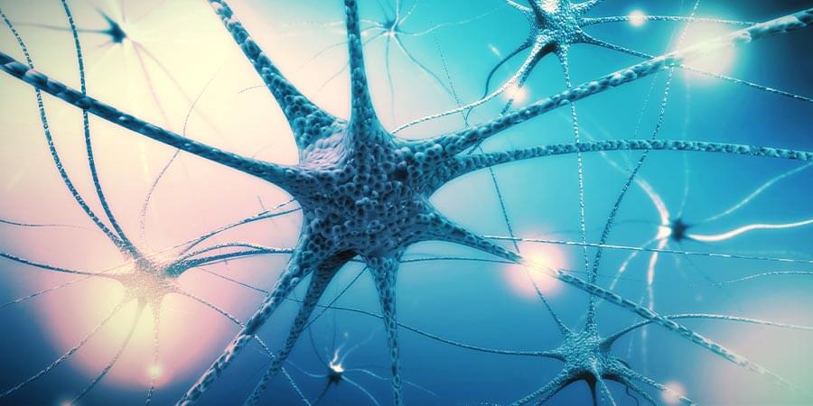 Step 4: Nourish the Nervous System