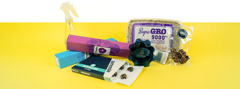 All you need for full-on psilocybin trips and microdosing