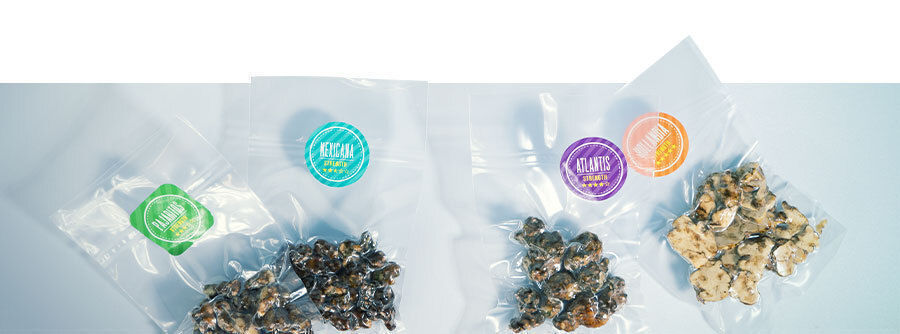 Buy magic truffles online at Zamnesia