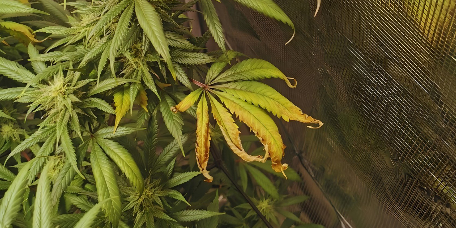 When to be concerned