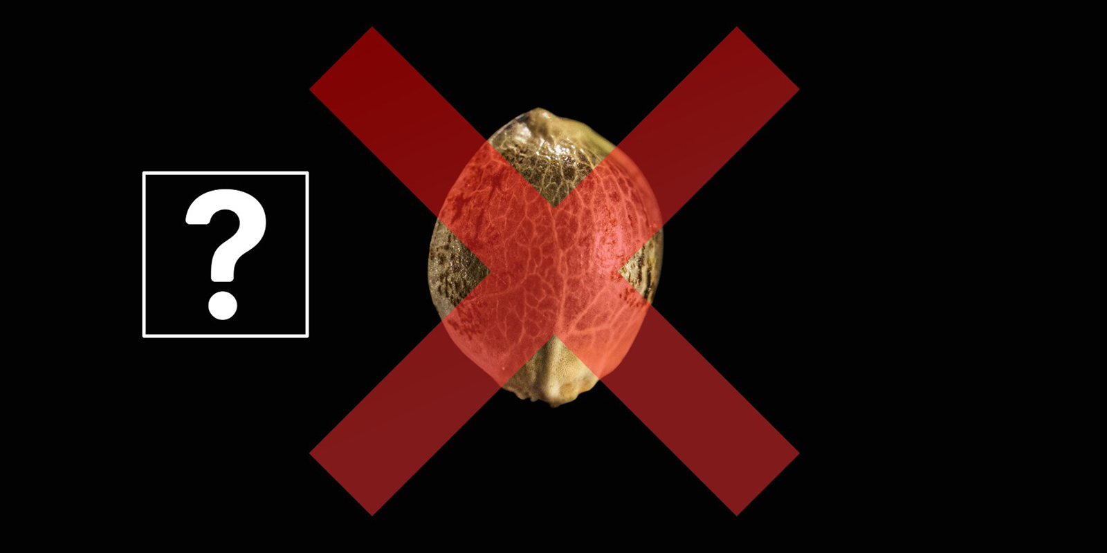 Troubleshooting germination problems