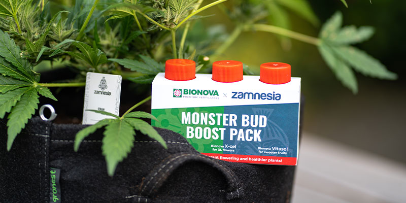 Use quality soil and nutrients