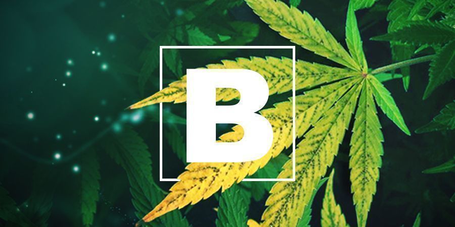 Boron Deficiency