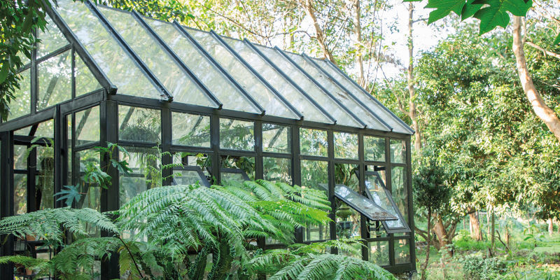 How to Camouflage Your Outdoor Cannabis Plants
