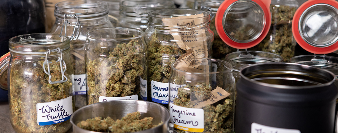 How to cure your cannabis