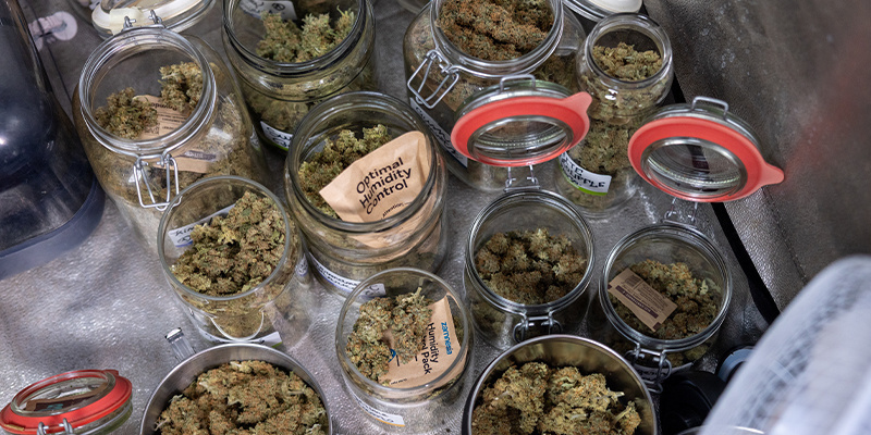 What is curing and why does it matter?