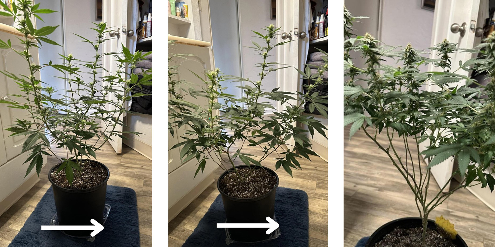 2. Work from the top down 2. Work from the top down