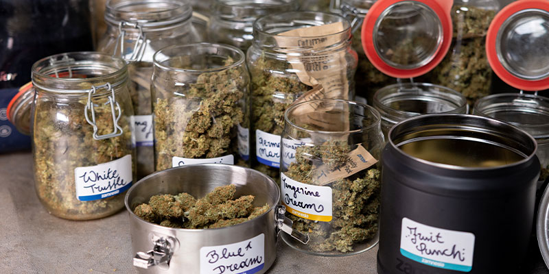 Washing cannabis buds: Yay or nay?