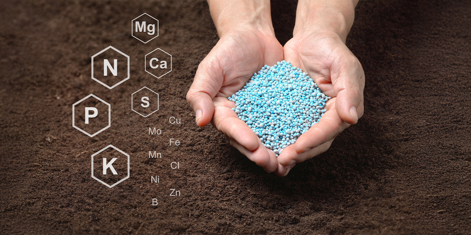 Synthetic nutrient solutions Synthetic nutrient solutions