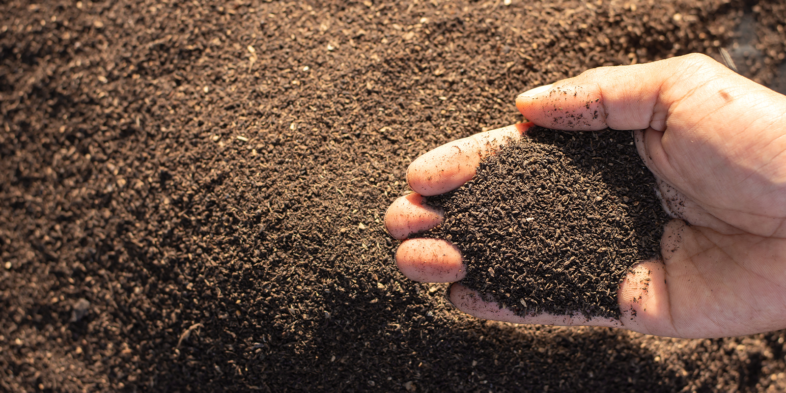 Organic fixes Organic fixes