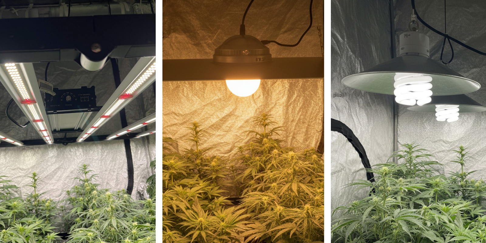 Types of grow lights
