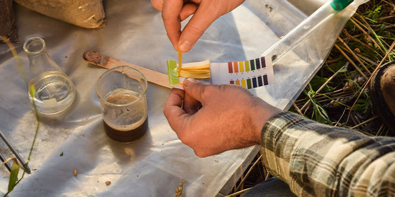 Preventing future magnesium deficiency Preventing future magnesium deficiency