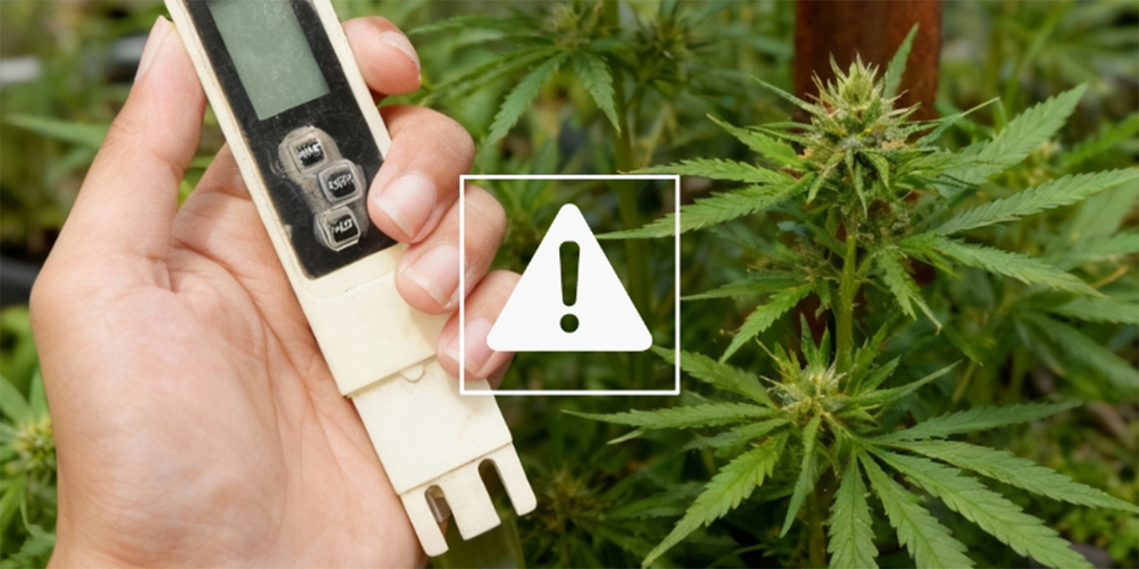 Common EC problems and how to fix them