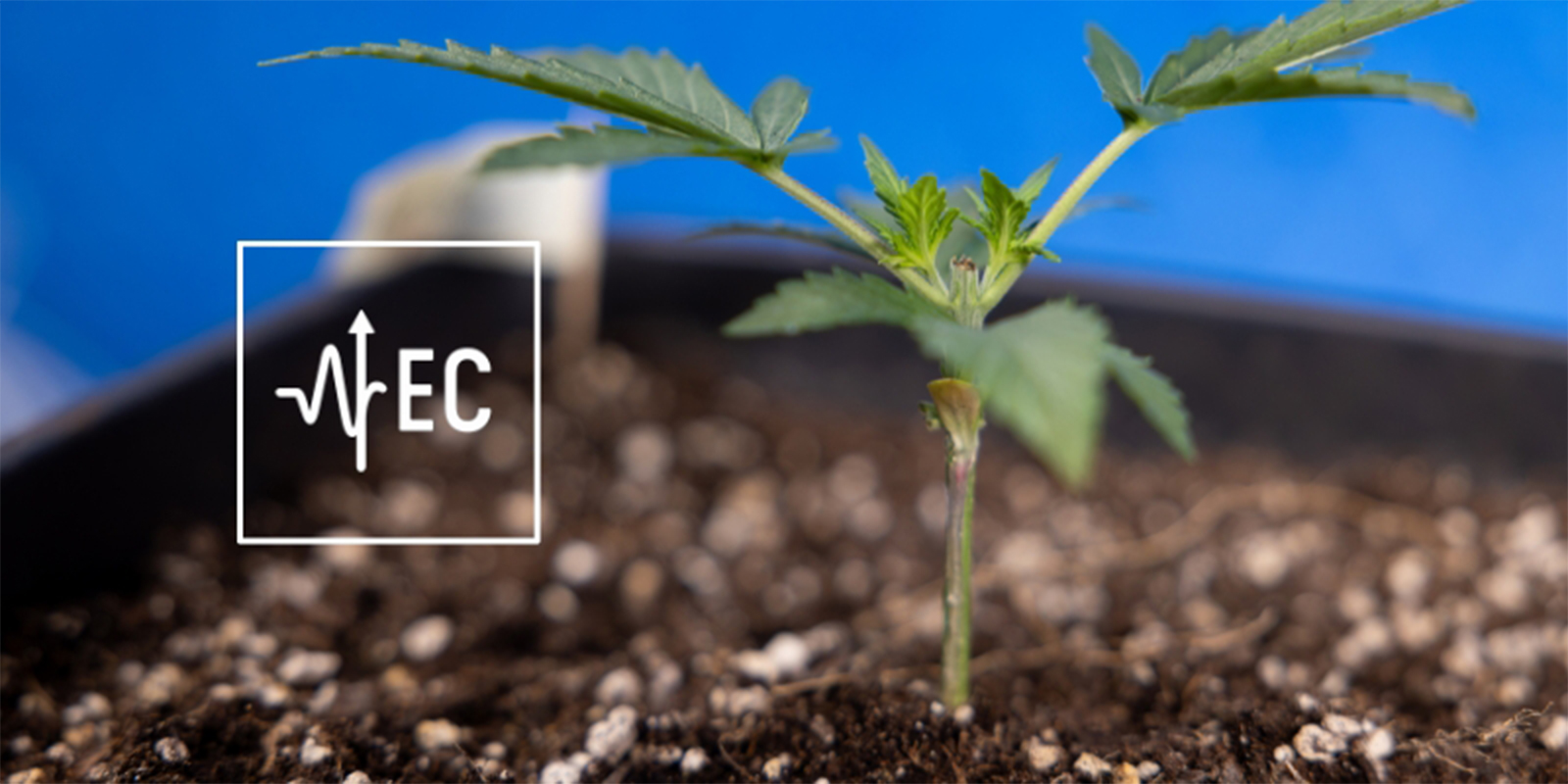 What is EC and why does it matter?