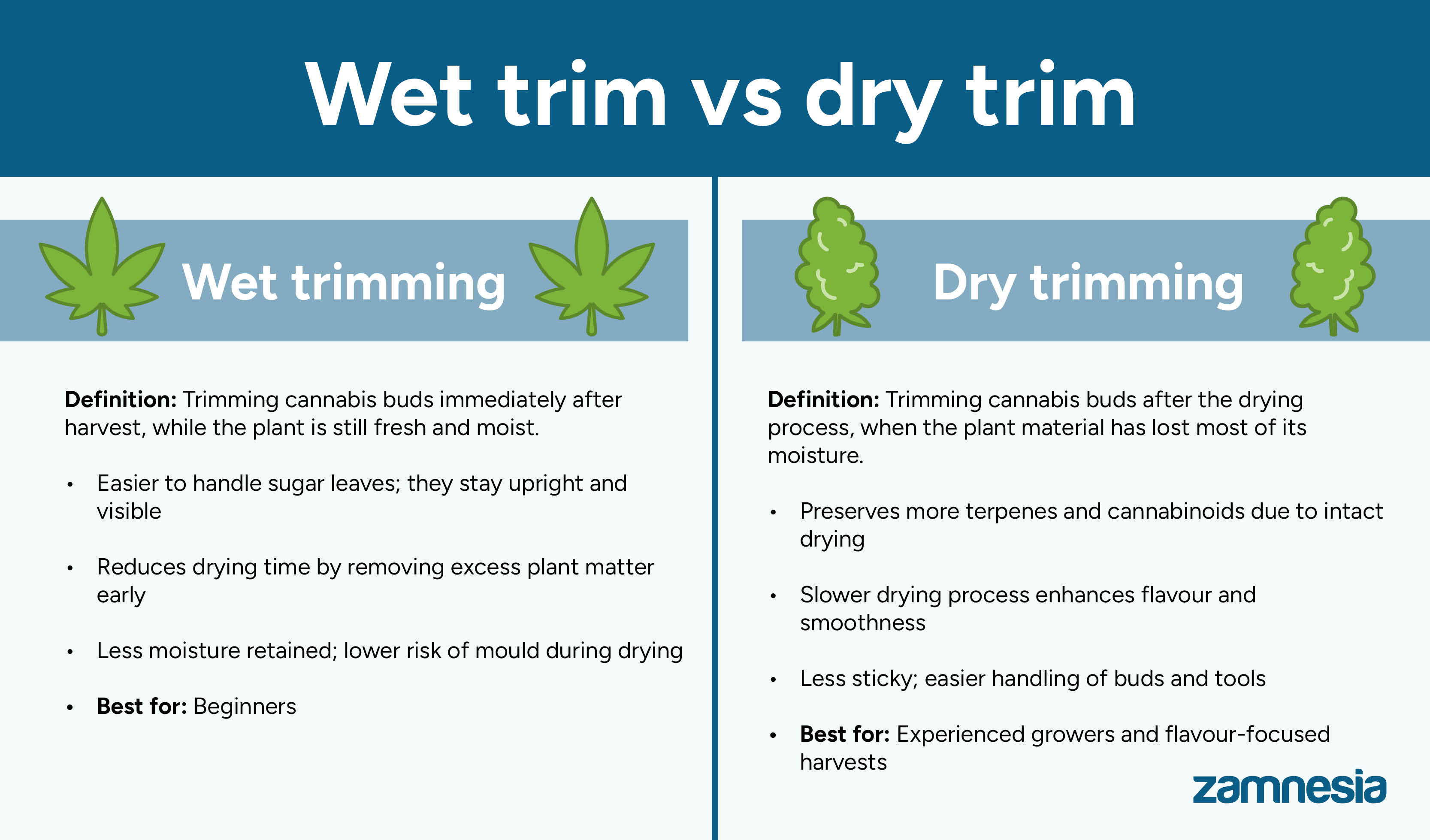 Wet trim vs dry trim: Which is better?