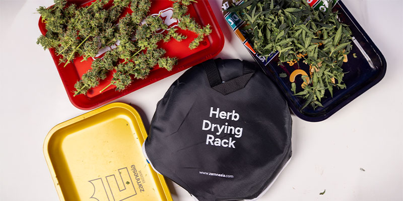 Why trimming cannabis is important